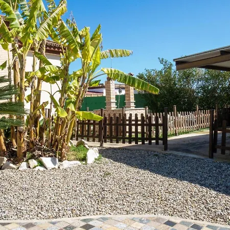 Con Piscina Privada Solo Familias Y Parejas Conil De La Frontera